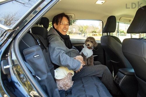 犬用ドライブシートの選び方は? 犬用ドライブシートおすすめ イメージ