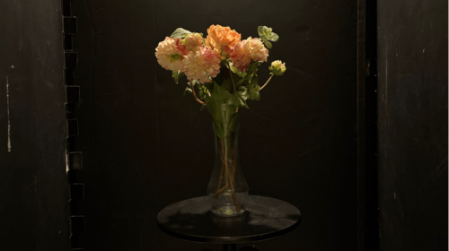 ②カメラ性能 新型iPhoneおすすめ イメージ4