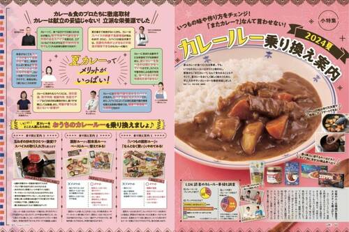 LDKがカレーペーストのカレールーをテスト カレーペーストおすすめ イメージ