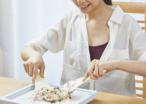 まとめ：ドウシシャは5つ星！ アイスパーティが楽しめます イメージ