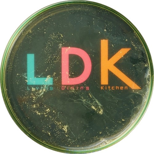 After 食器用洗剤おすすめ イメージ