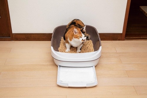 選び方1：システムトイレのサイズをチェック 猫用ペットシーツおすすめ イメージ