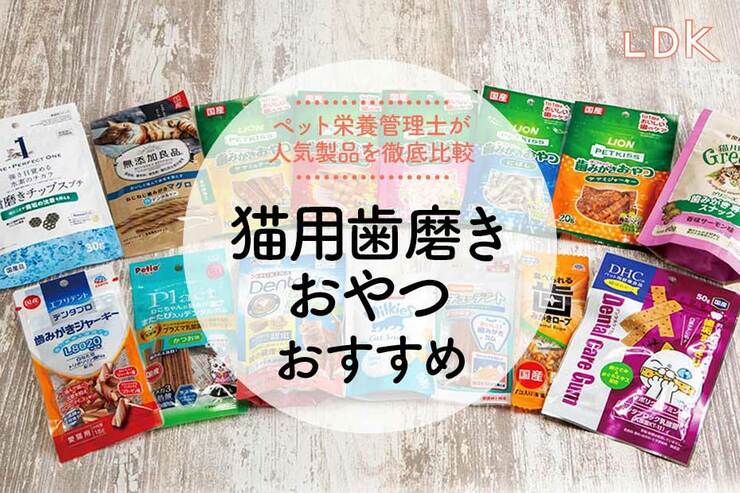 猫用歯磨きおやつのおすすめランキング。ペット栄養管理士が人気商品を比較