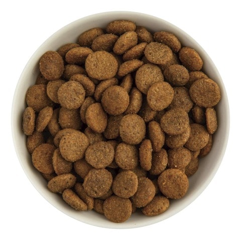 2025年】ドッグフードのおすすめランキング21選。LDKがペット栄養管理