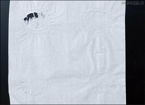 【湿潤摩擦強度】小さい破れのみ! トイレットペーパーおすすめ イメージ