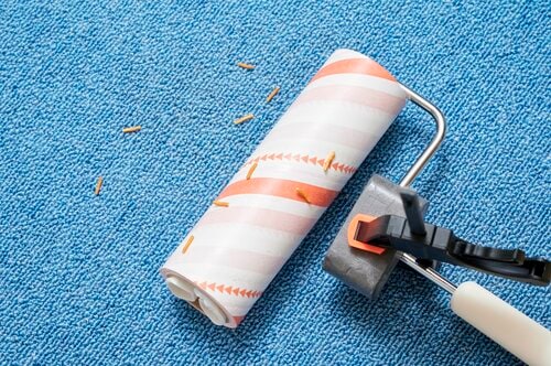 持続力があまりないのが残念 粘着クリーナーおすすめ イメージ