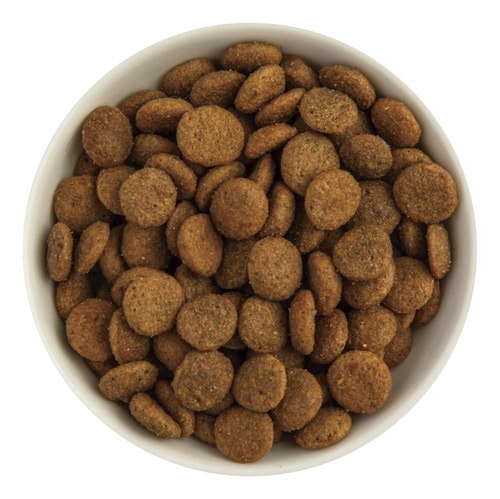 ドッグフードおすすめ スマック フローラケア DOG 1歳〜成犬用 イメージ2