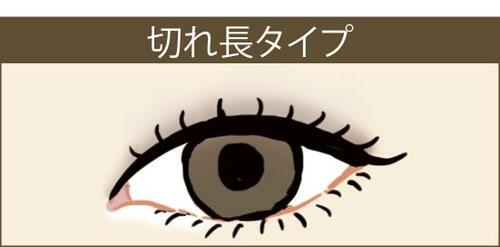 ▼切れ長タイプ
