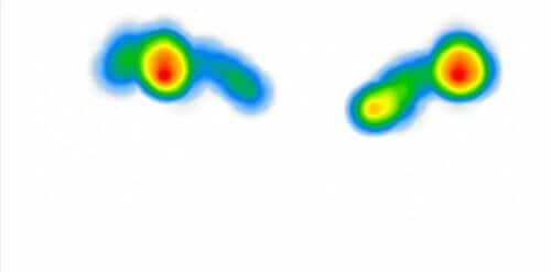 ふかふかで肩への負担を感じにくい！ レディース向け通勤リュックおすすめ イメージ