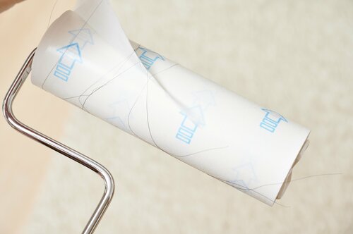 髪の毛が絡まっている時のカットが難点 粘着クリーナーおすすめ イメージ