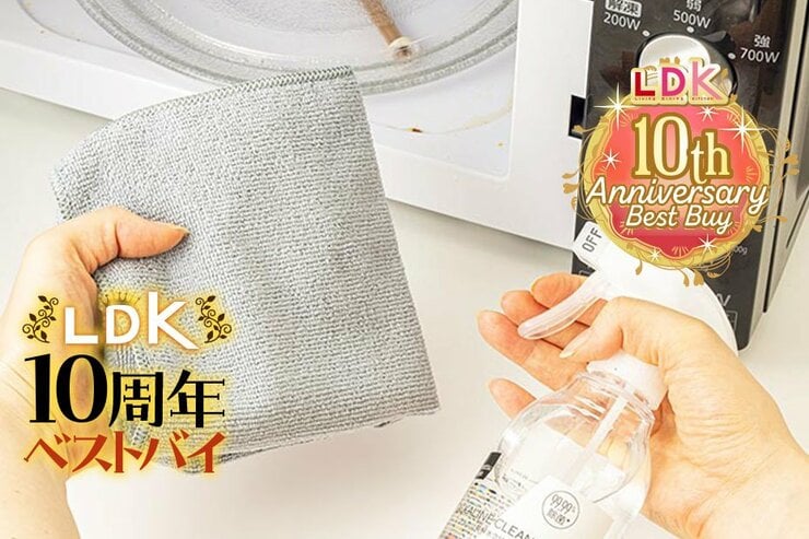掃除のプロが「絶対使って」おすすめのキッチン掃除アイテムはアルカリ電解水でした【LDK10周年ベストバイ】