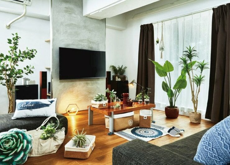 ニトリで涼しげインテリア！ お世話いらずの“グリーン”たちを集めました