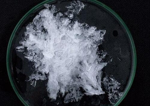 粒感のあるシャリ氷はドリンク向きな「プリズメイト」 イメージ2