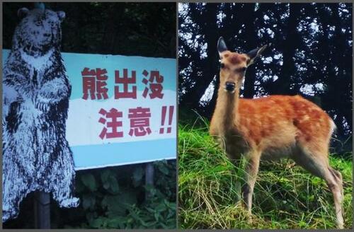 焚き火が消えたら真っ暗闇キャンプの夜ってめっちゃ怖い… イメージ2