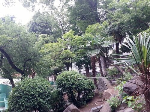 【S評価】操作性もカメラも文句なしの出来栄えです イメージ2