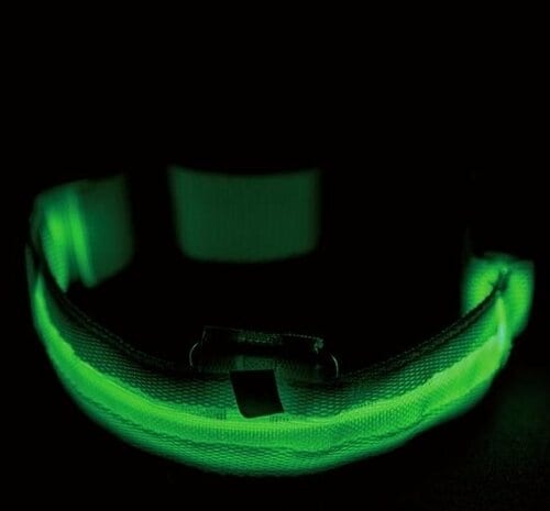 犬のお散歩用ライトおすすめ Cotcool 調節可能な点滅発光首輪 ライトハーネス イメージ2