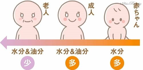水分と油分のバランスは年齢とともに変化する 脂性肌を救い隊おすすめ イメージ