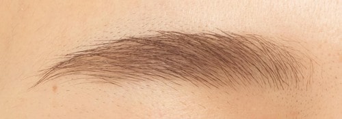 ふんわりしたやさしい眉に イメージ