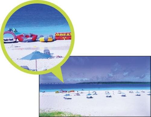 検証結果2：プロによる評価 イメージ