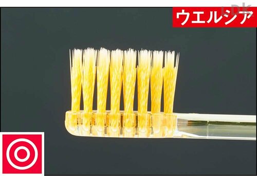 歯周ポケットにも入りやすい毛先 ドラグッストアの安い歯ブラシおすすめ イメージ