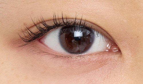 仕上がり 2025年ベストコスメ 眉&アイメイク部門おすすめ イメージ