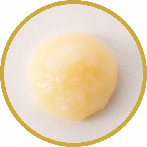 にんにく調味料おすすめ ユウキ食品 にんにくおろし(チューブ) 100g イメージ2