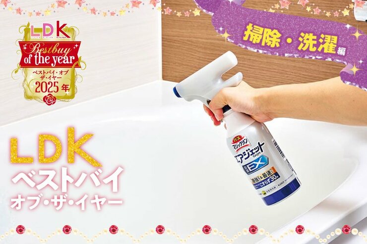 家事がはかどるって素晴らしい！  “ゲキ落ち”掃除・洗濯アイテムの決定版【LDKベストバイ オブ・ザ・イヤー2025】