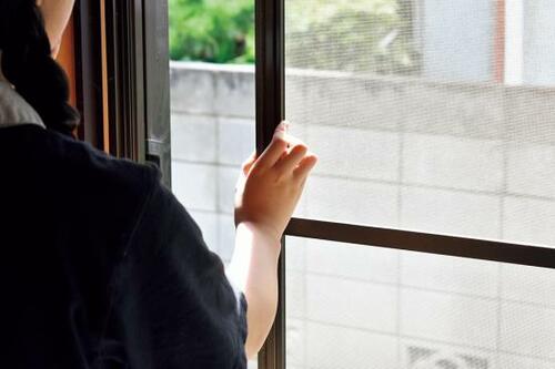 部屋の中を飛び回ってイライラ!小バエはどこからやってくる? コバエ対策グッズおすすめ イメージ2