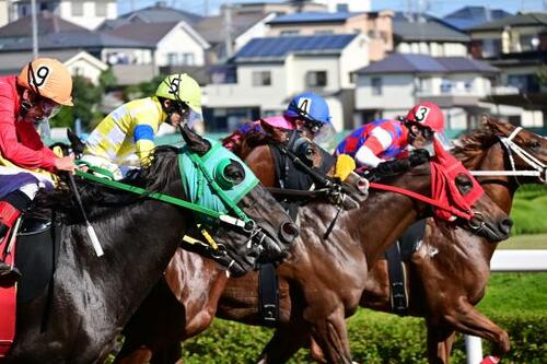 高感度画質や色あいも良好！「カンタン・キレイ」を実現しています イメージ3