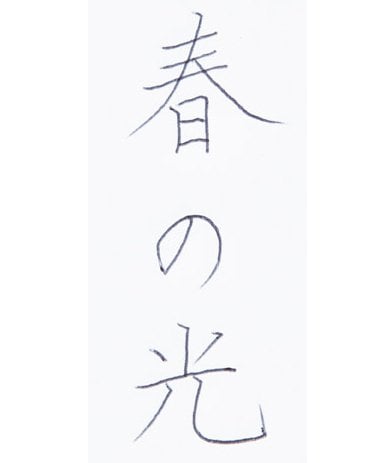 11位: [11位] インクたっぷりなのにカスレが惜しい イメージ2