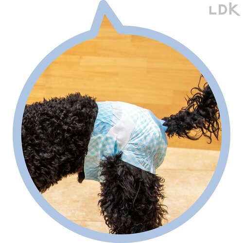 伸縮性ギャザーで漏れにくい 犬用おむつおすすめ イメージ