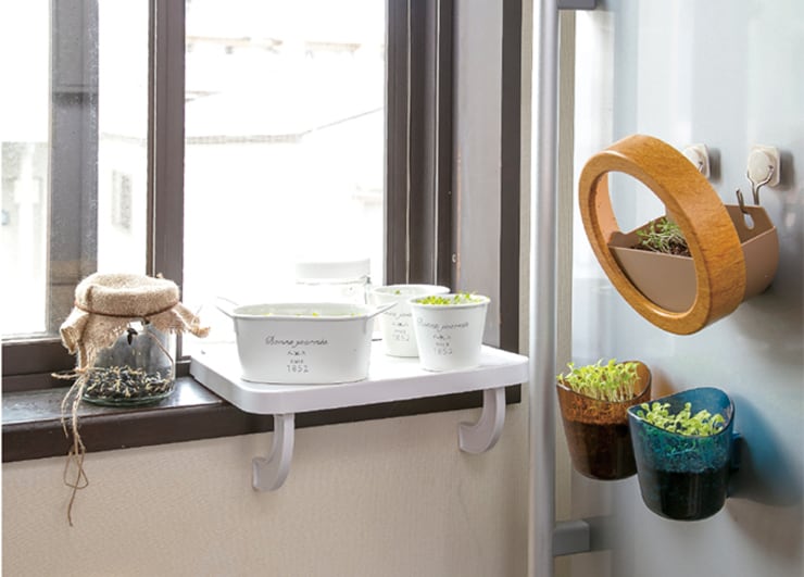 庭もベランダもいらない。初心者さんでも安心「家庭菜園」の始め方