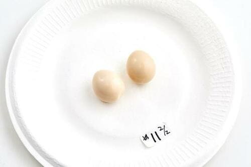 16位: うずらが絶品！ 熊本みなみピクルスの和風&うずら イメージ2