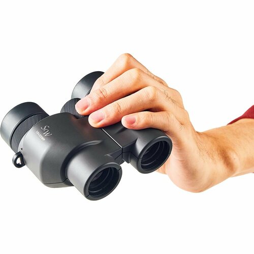 双眼鏡おすすめ ビクセン SW10×25WP イメージ1