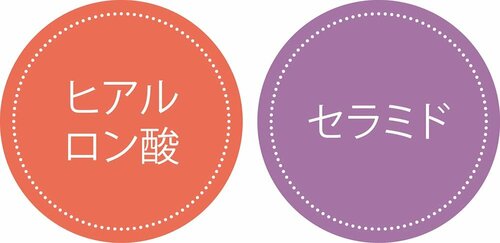 乾燥する時期は湿度に左右されない保湿成分が正解!