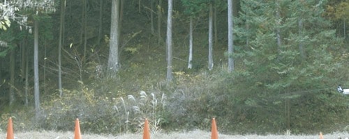 テスト結果 クマ撃退スプレーおすすめ イメージ