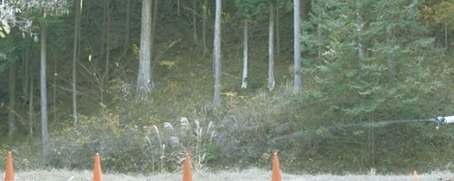 テスト結果 クマ撃退スプレーおすすめ イメージ