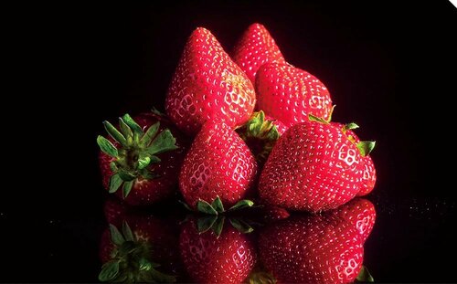 ソニー「BRAVIA 5 XR50 シリーズ(55V型)」の画質比較テスト写真（立体感）