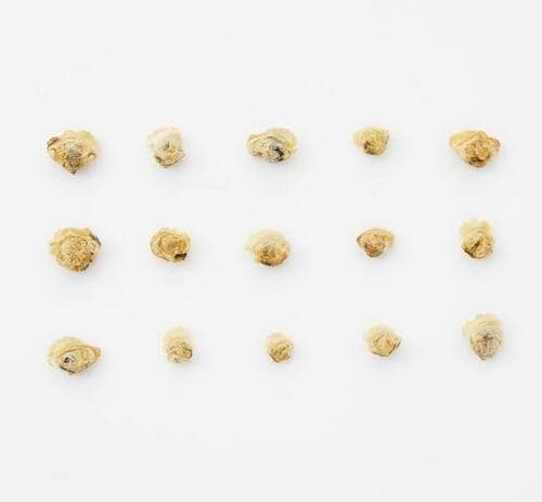 12位: もへじ「しじみのお味噌汁」|魚醤がアクセントに! イメージ3