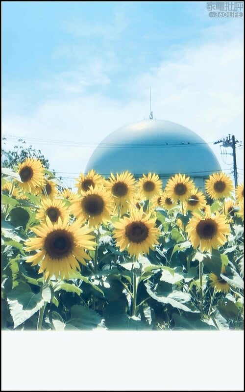 持ち歩いてその場でパッと写真をプレゼント! 家電批評ベストバイオブザイヤーおすすめ イメージ