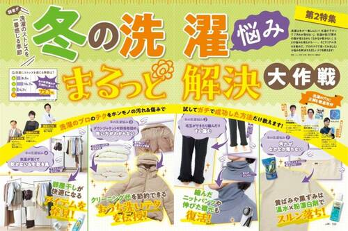 LDKが粉末の酸素系漂白剤をテスト 粉末タイプの酵素系漂白剤のおすすめおすすめ イメージ