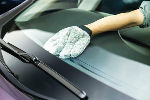 車内も5本指タイプが活躍コアラの手でホコリを一掃 イメージ