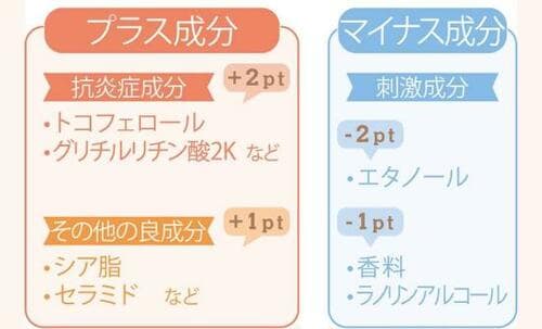 テスト3:成分