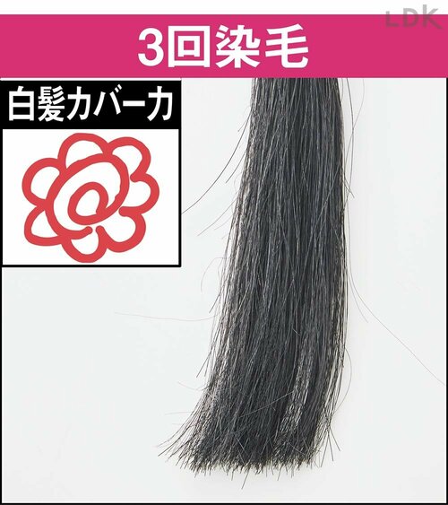 3回染毛 白髪染めトリートメントおすすめ イメージ