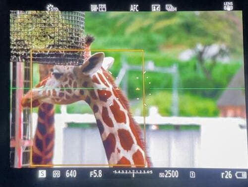 動物園を楽しめるカメラ2