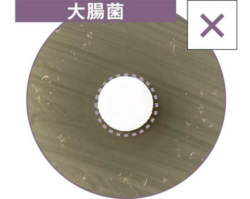 D評価: 食中毒予防効果に不安…D評価の3製品 イメージ2