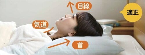 ［まくら］これは快適！2500円でオーダーメイド並み イメージ3