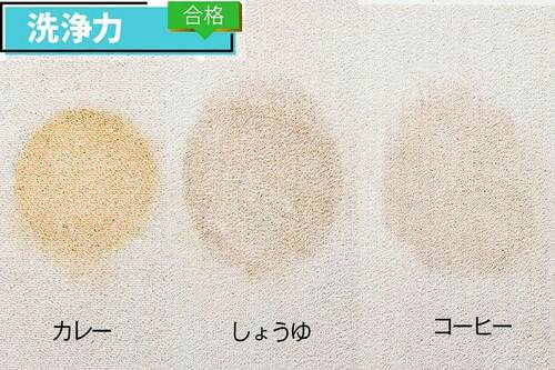 洗浄力:合格 リンサークリーナーおすすめ イメージ