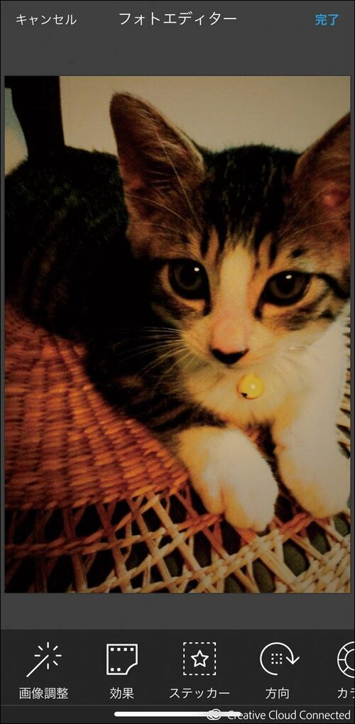 豊富な編集機能を備えた「Lifeprint」 イメージ