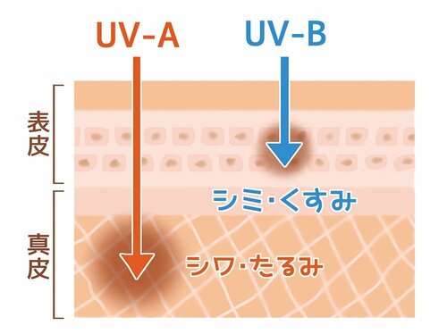 Q.「SPF」と「PA」って何?